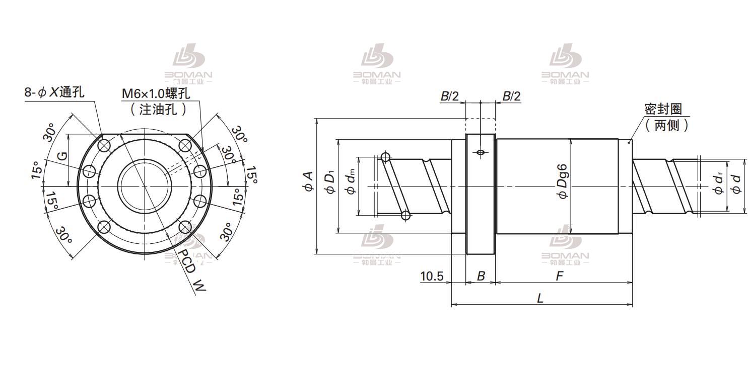 BSS3605-3E-BSS标准系列丝杠