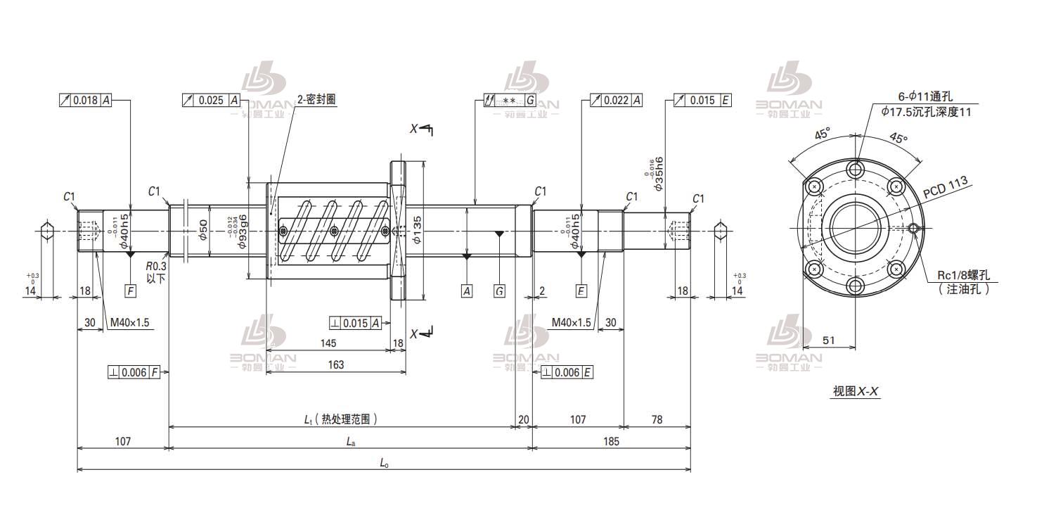 W5009SA-2Z-C5Z10-SA标准滚珠丝杠